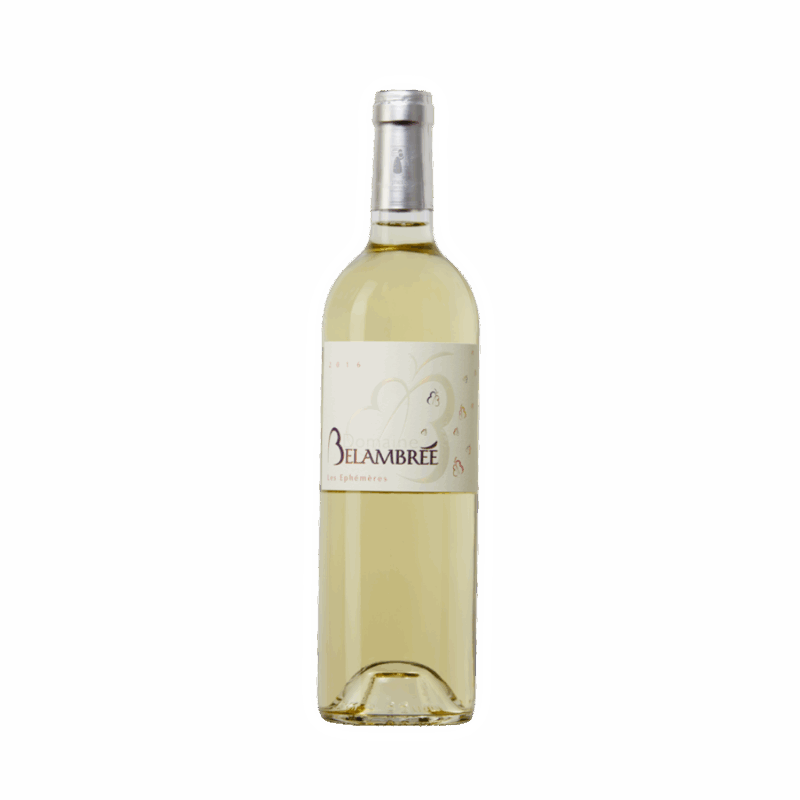 Belambrée les ephémères 2023