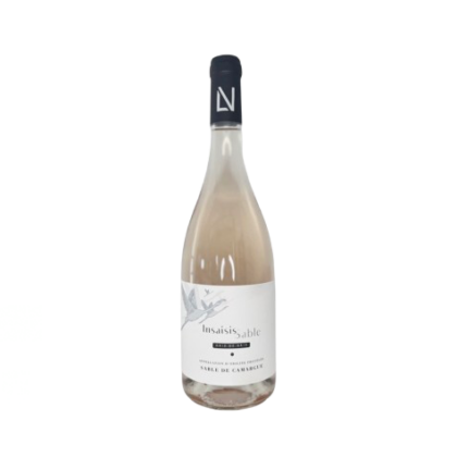 InsaisisSable Gris de Gris 2024