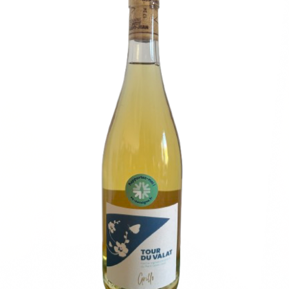 Grillo Tour du Valat Blanc 2023